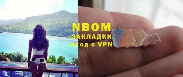 ГАЛЛЮЦИНОГЕННЫЕ ГРИБЫ Алзамай