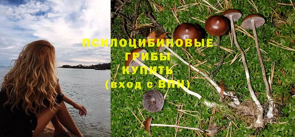 PSILOCYBIN Аркадак