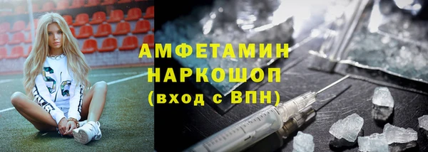 шишки Алексин