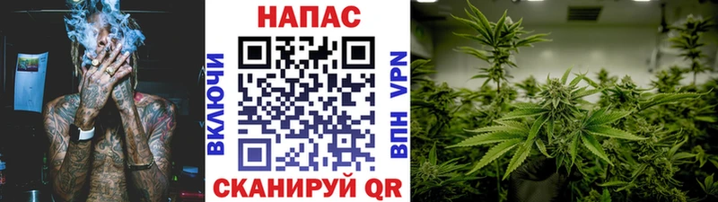 Бошки марихуана OG Kush  купить   Пущино 